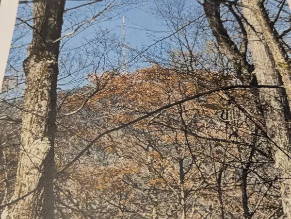 Weathersfield, VT 05030,1928 VT. Rte. 131