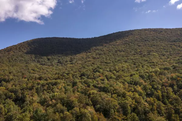 Address Not Disclosed