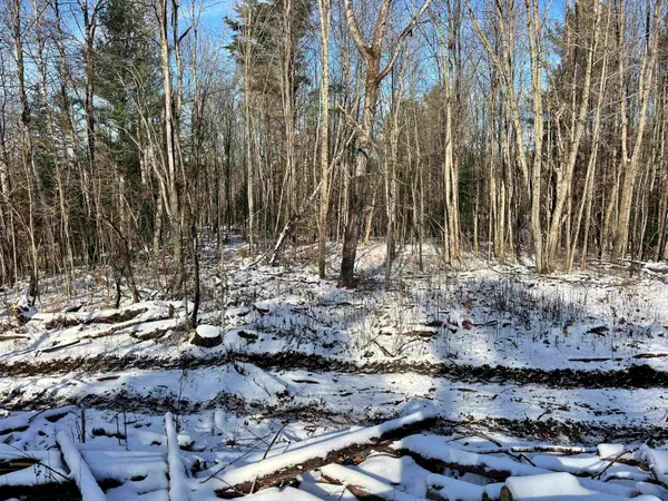 Barton, VT 05822,002 Duck Pond RD #Lot #2