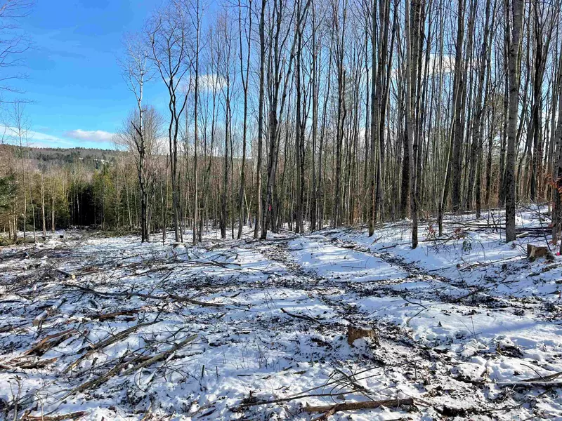 001 Duck Pond RD #Lot #1, Barton, VT 05822