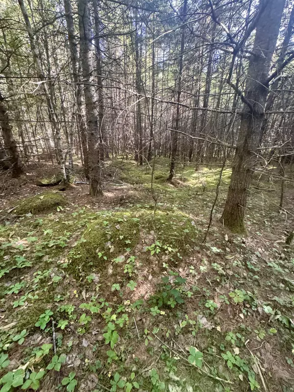 Bethlehem, NH 03574,0 Thorn Hill RD #406/22