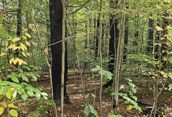 Henniker, NH 03242,586 C-4 Craney Hill RD