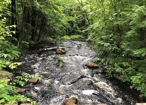 Ossipee, NH 03814,88 Chickville RD