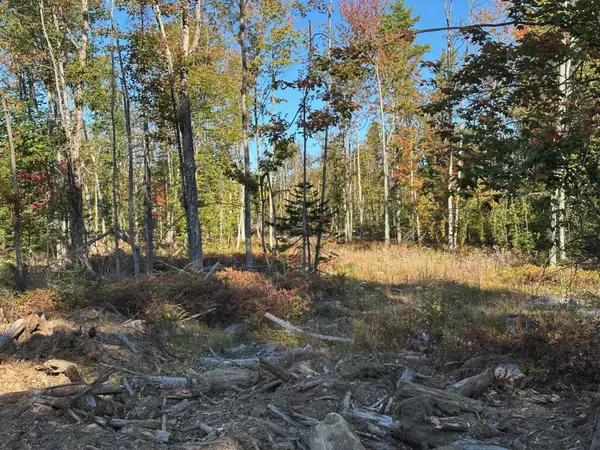 Middleton, NH 03887,00 Pinkham RD #11-9