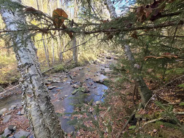 Washburn RD #Map 405 Lot 4, Columbia, NH 03576