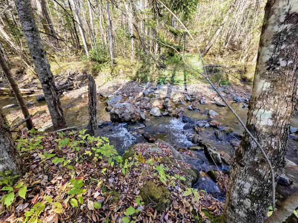 Columbia, NH 03576,Washburn RD #Map 405 Lot 4