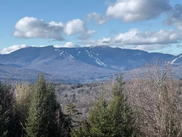 Stowe, VT 05672,389 upper pinnacle RD