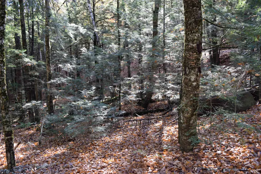 Lot 14 Hanover DR #14, Haverhill, NH 03765