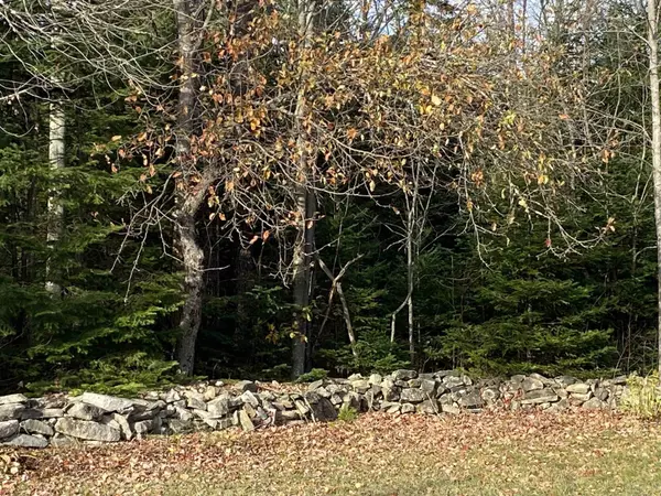 Berlin, NH 03570,30 W Milan RD