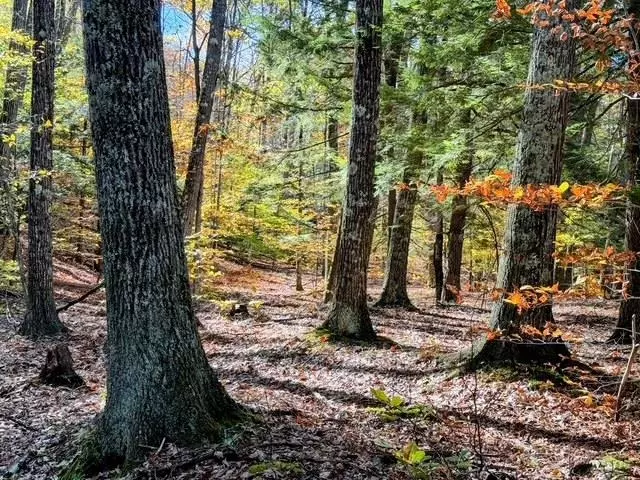 29&31 White Brook RD, Gilsum, NH 03448