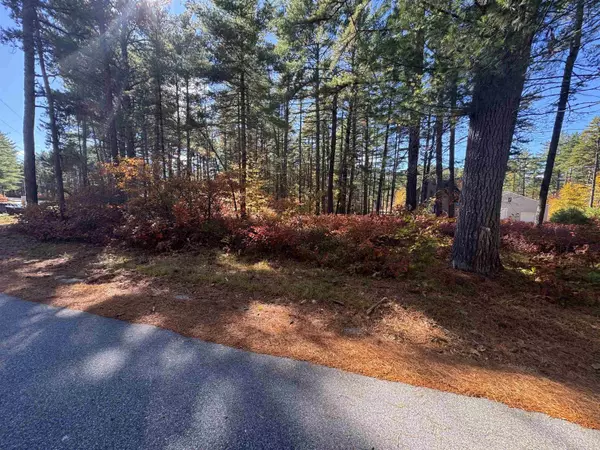 Ossipee, NH 03890,34 Old Mill RD