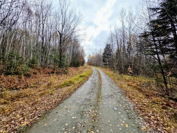 Columbia, NH 03576,Washburn RD #Map 405 Lot 13