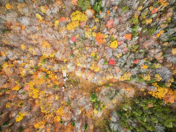 Alexandria, NH 03222,00 Orange RD