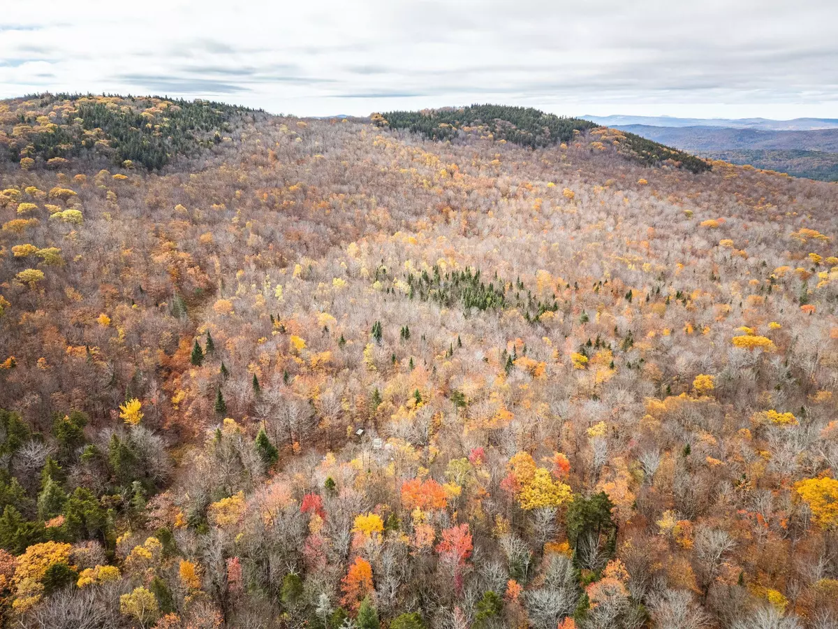 Alexandria, NH 03222,00 Orange RD