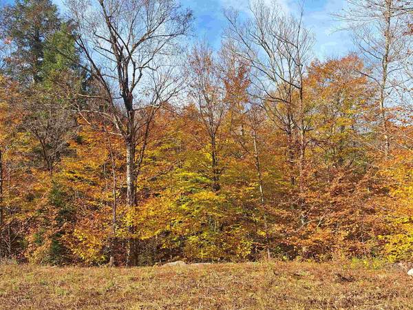 504 Elbow RD #Lot #2, Killington, VT 05751