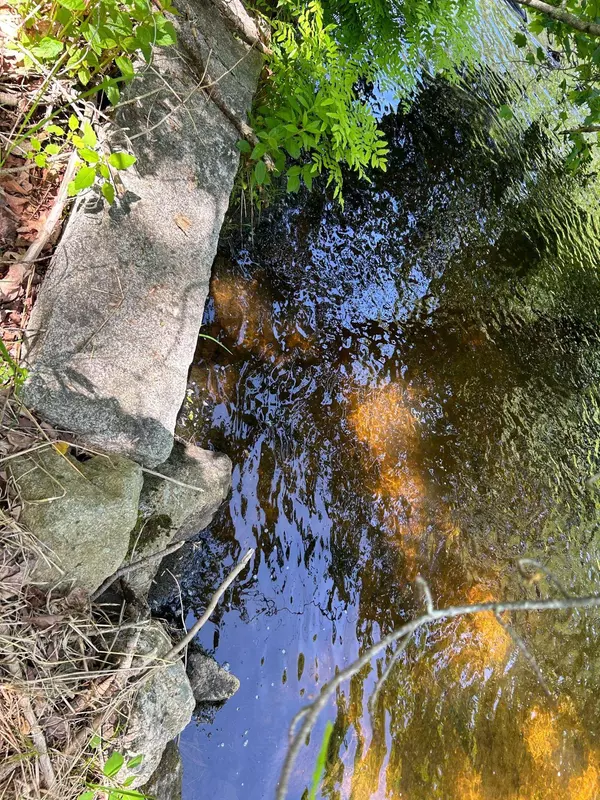 Effingham, NH 03882,68 Granite RD