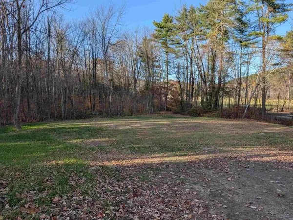 Bristol, NH 03222,Lot 11-1 Pleasant ST