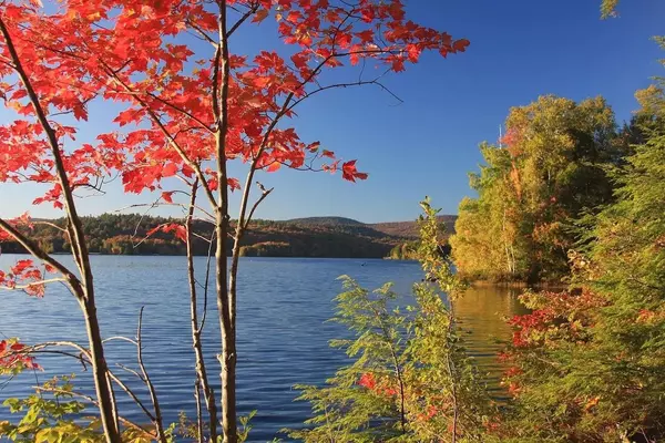 Grantham, NH 03753,38 Terrace VW