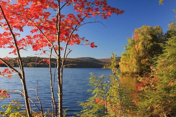 Grantham, NH 03753,38 Terrace VW