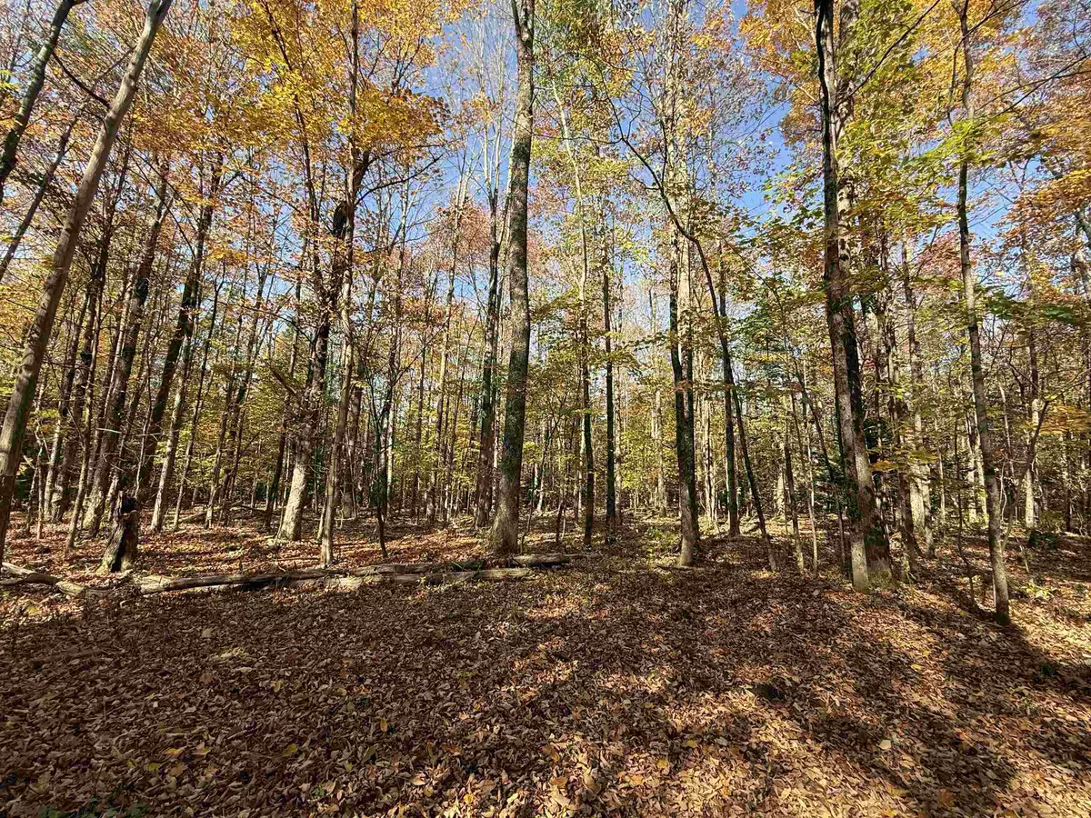 Newport Town, VT 05857,1414 Collins Mill RD