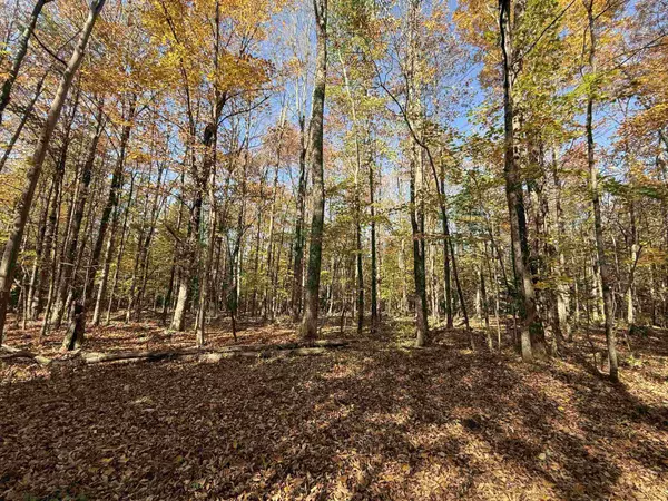 1414 Collins Mill RD, Newport Town, VT 05857