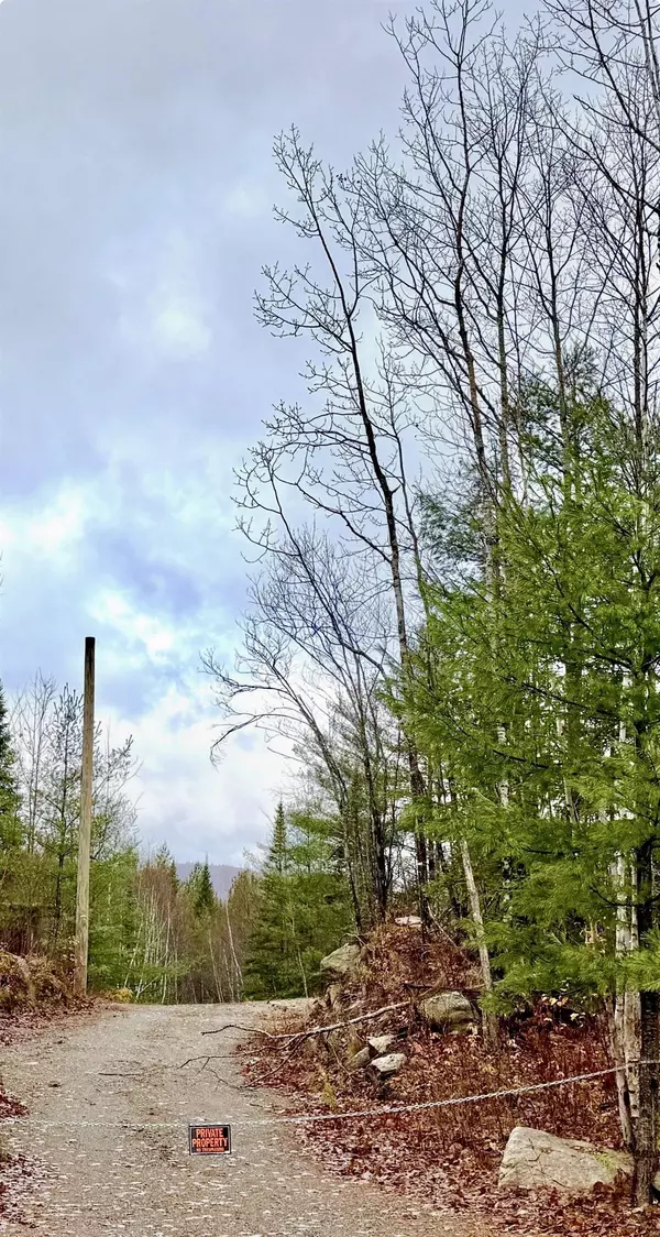 Bethlehem, NH 03574,61 Thorn Hill RD