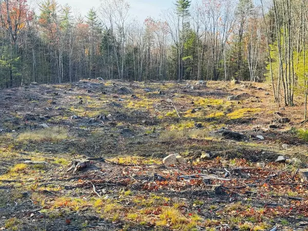 Lot 77 Homestead LN, Barrington, NH 03825