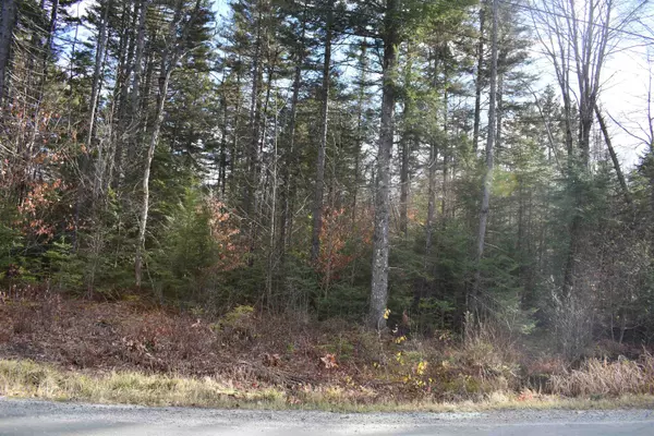 Enfield, NH 03748,0 Grafton Pond RD