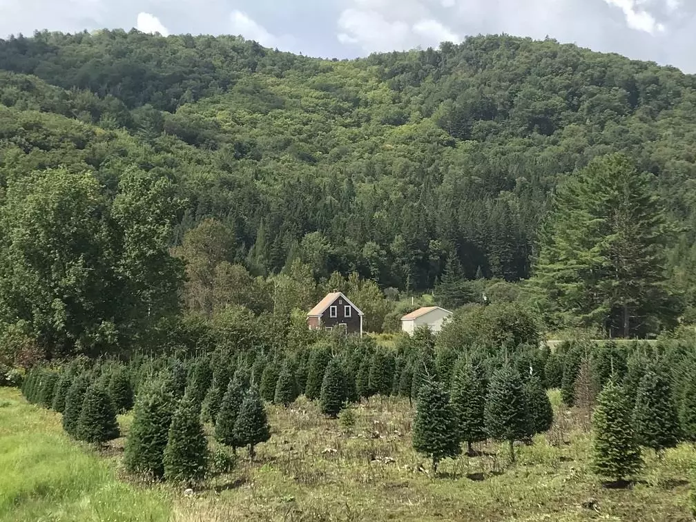 Stewartstown, NH 03576,92 Bishop Brook RD