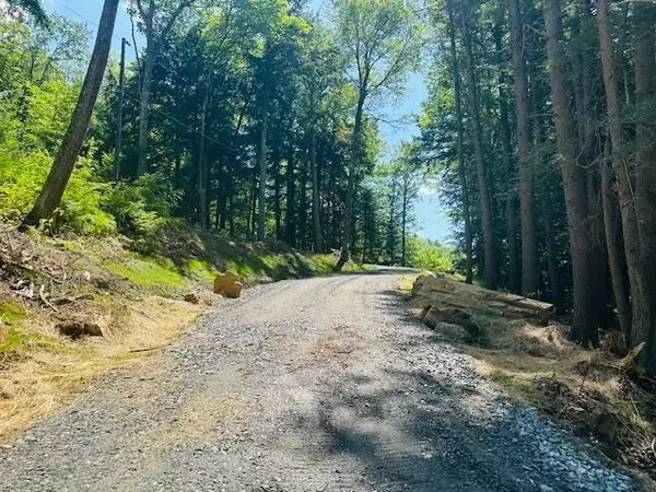 Newfane, VT 05345,0 Duke RD