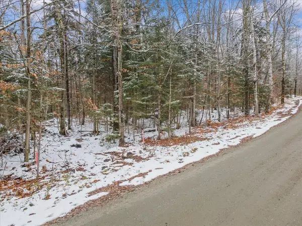 Morristown, VT 05661,93 White Birch RD