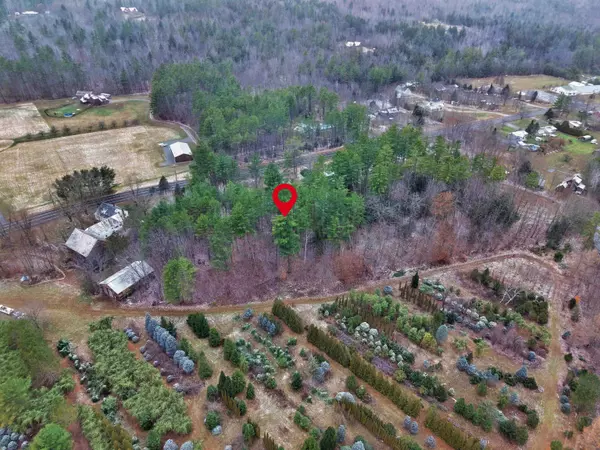 Wentworth, NH 03282,00 Mount Mousilauke HWY