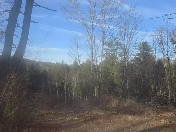 Springfield, VT 05156,00 Will Dean RD