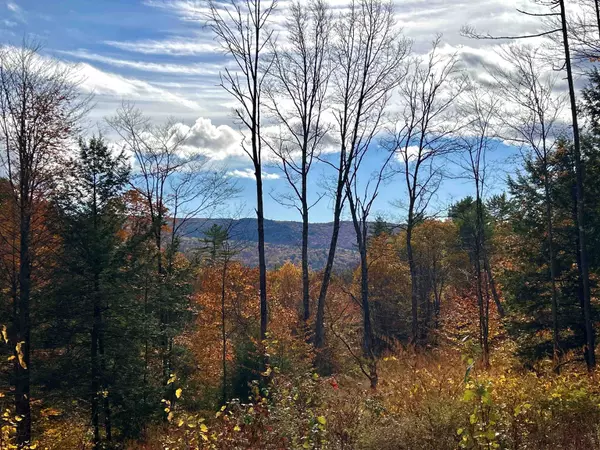 Bristol, NH 03222,150 Peaked Hill RD