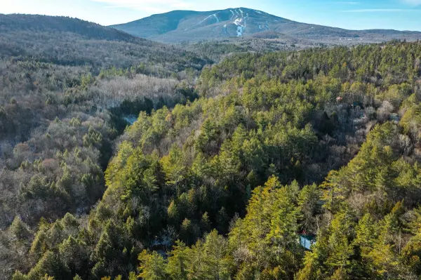 Jamaica, VT 05343,4410 Pikes Falls RD