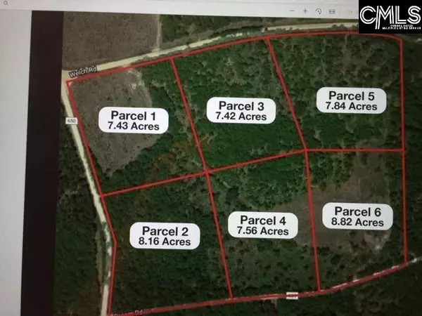 Parcel 1 Gunter Pond Road, Wagener, SC 29164