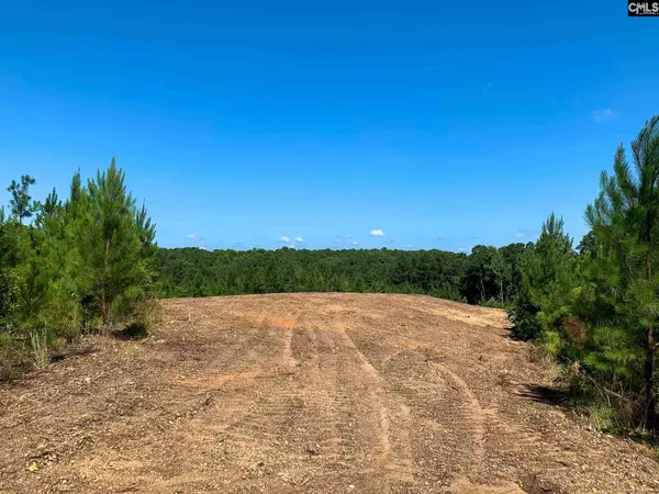 Lugoff, SC 29078,863 Longtown Rd Lot 1