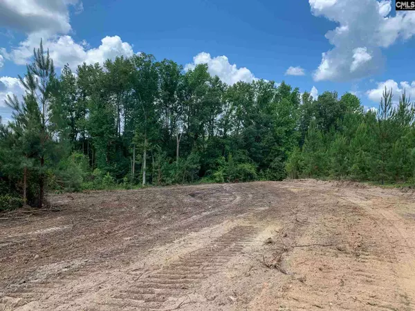 Lugoff, SC 29078,863 Longtown Rd Lot 4