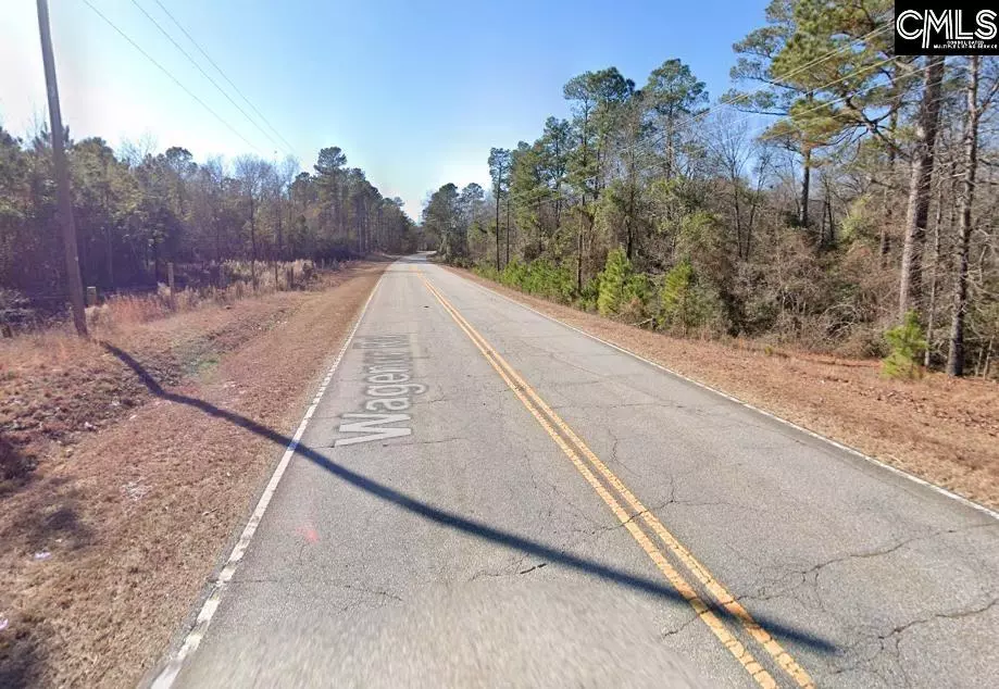 Wagener, SC 29164,7268 Wagener Road Lot 4