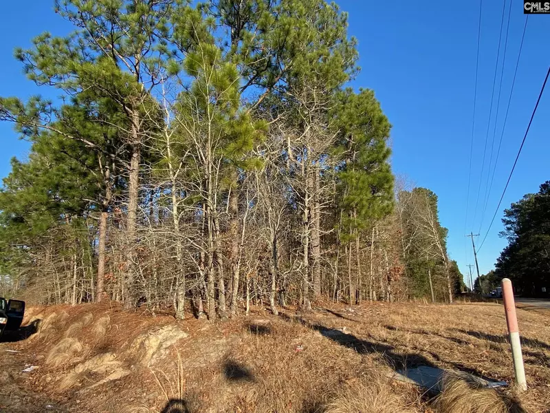 0 Fish Hatchery Road C, Gaston, SC 29053