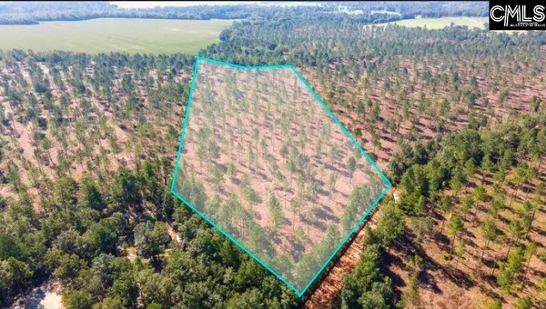 Lot 7 Bluffwood Road, Wagener, SC 29164