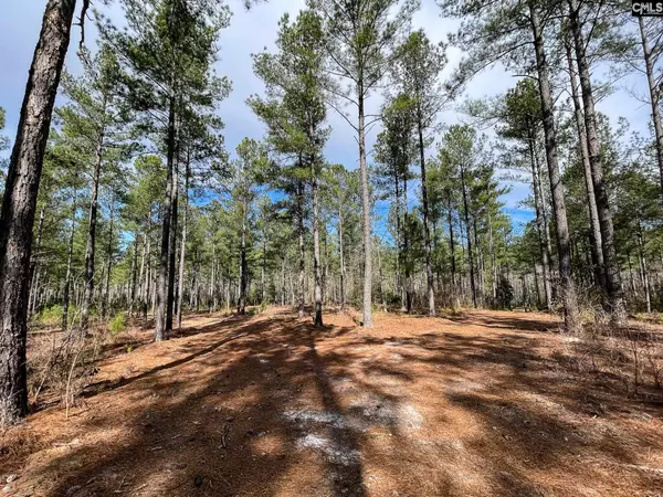 Leesville, SC 29070,346 Tarpon Road Lot 7