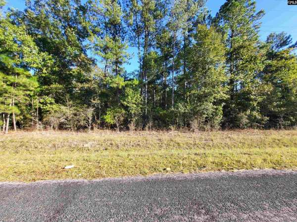 TBD Catalina Boulevard lot 7, North, SC 29112