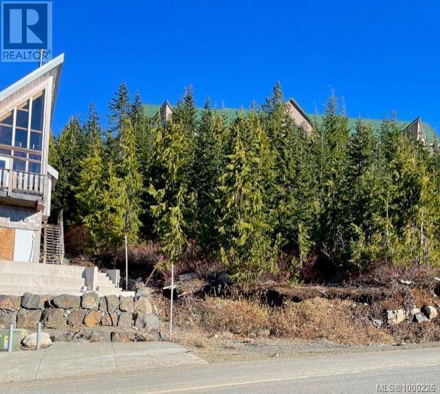 Courtenay, BC V9J1L0,990 Cruikshank Ridge