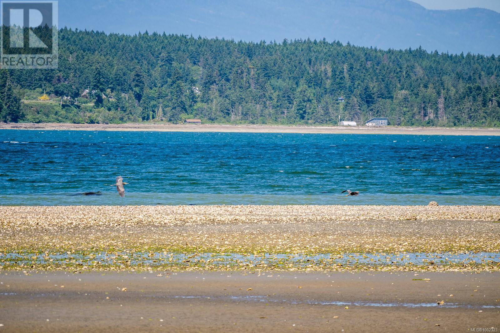 Hornby Island, BC V0R1Z0,3845 Shingle Spit Rd
