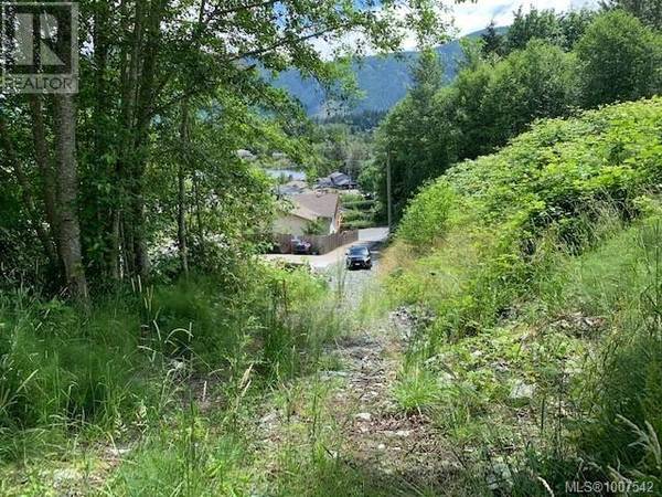 Lake Cowichan, BC V0R2G0,167 River Rd