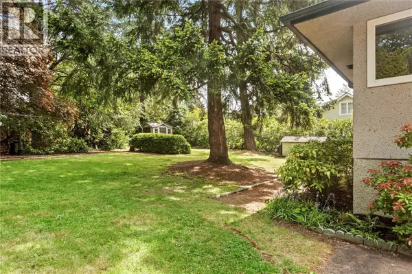 View Royal, BC V9B1G2,164 Island Hwy