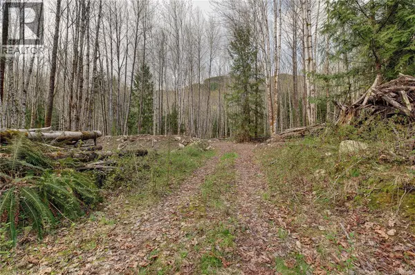 Lake Cowichan, BC V0R2G0,7531 Cowichan Lake RD #Lot B