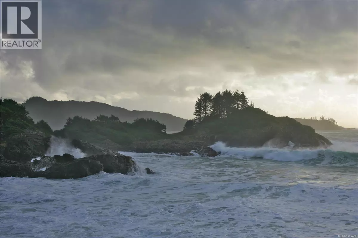 Tofino, BC V0R2Z0,871 Moser Pl