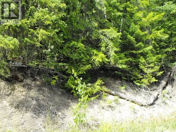 Anglemont, BC V0E1M8,Lot 59 Copper Island Drive